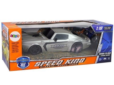 Auto Sportowe R/C 1:18 Srebrne Champion Pilot LEAN Toys