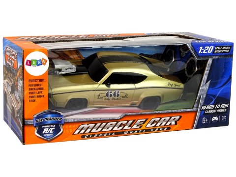 Zdalnie Sterowane Auto Sportowe Klasyczne 1:20 Złote Pilot LEAN Toys