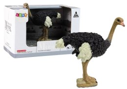 Figurka kolekcjonerska Struś Seria Zwierzęta Świata LEAN Toys