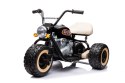 Motor Na Akumulator Trójkołowy LL6688 Czarny 24V LEAN CARS