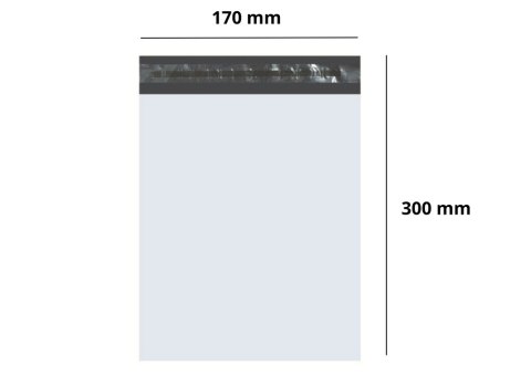 Folia Kurierska Koperta Foliopak 100 Sztuk 170x 300mm LEAN