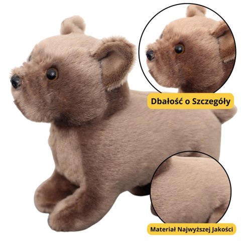 Pluszowa Maskotka Przytulanka Mały Pies Brązowy 19cm LEAN Toys