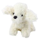Pluszowa Maskotka Przytulanka Piesek Pudel Miniaturowy Biały 20cm LEAN Toys