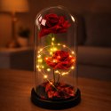Wieczne 2 Róże w Kopule z Oświetleniem LED i Płatkami Róż Czerwone 21x11cm LEAN