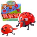 Nakręcana Zabawka Biedronka Porusza Kończynami Skrzydełkami LEAN TOYS