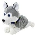 Pies Pluszowy Na Baterie Interaktywny Husky Porusza Się Wydaje Dźwięki LEAN Toys