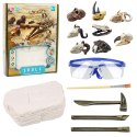 Zestaw Archeologiczny Wykopaliska Czaszek Kości Narzędzia Akcesoria LEAN Toys