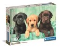 Puzzle 1000 HQC TRZY LABRADORY Plakat Clementoni 39946 Clementoni