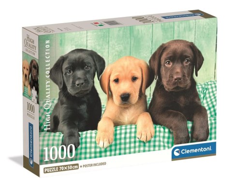 Puzzle 1000 HQC TRZY LABRADORY Plakat Clementoni 39946 Clementoni