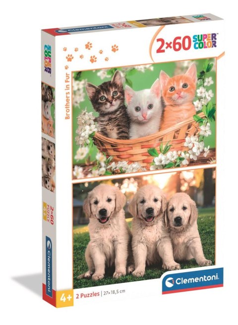 Puzzle 2x60 Super Color BRACIA W FUTRACH PIESKI I KOTKI Clementoni 24820 Clementoni