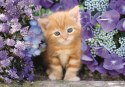 Puzzle 500 HQC RUDY KOTEK Plakat Clementoni 35585 Clementoni