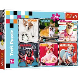 Puzzle - 200 - Wesołe psy - Trefl 13279 Trefl Puzzle