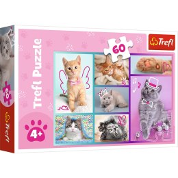 Puzzle - 60 - Słodkie kociaki - Trefl 17373 Trefl Puzzle