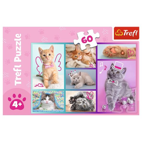 Puzzle - 60 - Słodkie kociaki - Trefl 17373 Trefl Puzzle