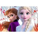 Puzzle - 60 - Zaczarowany świat Anny i Elsy - Kraina Lodu II - Trefl 17333 Trefl Puzzle