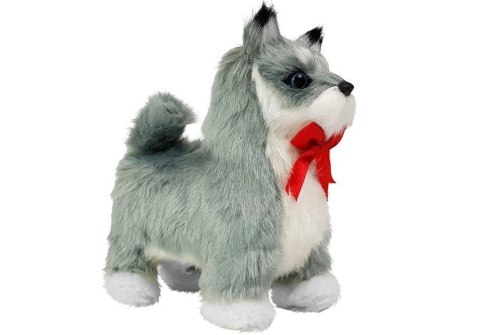 Interaktywny Pies Husky Porusza się, Szczeka LEAN Toys