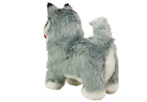 Interaktywny Pies Husky Porusza się, Szczeka LEAN Toys