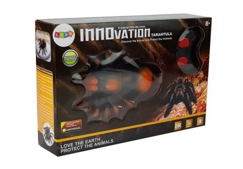 Ogromny Pająk na Baterie Zdalnie Sterowany R/C czarno -pomarańczowy LEAN Toys